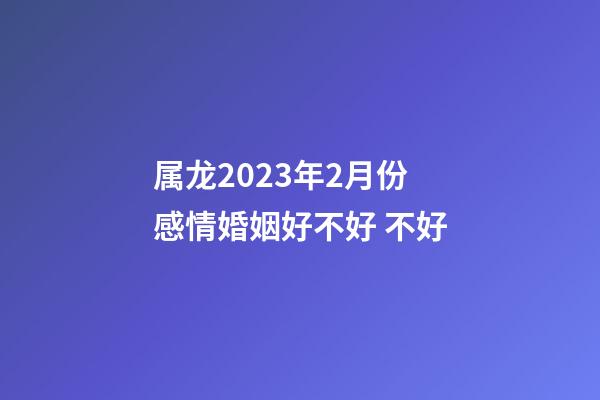 属龙2023年2月份感情婚姻好不好 不好